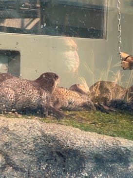 サンシャイン水族館に投稿された画像（2021/12/25）