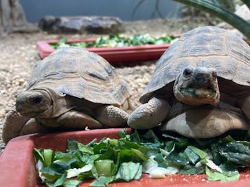 サンシャイン水族館に投稿された画像（2021/12/25）