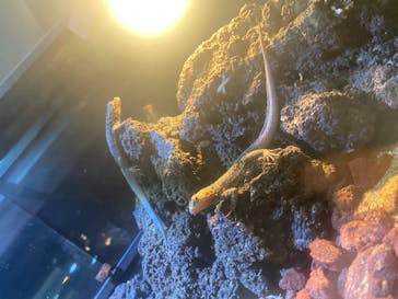 体感型動物園iZooに投稿された画像（2021/12/25）