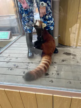 横浜・八景島シーパラダイスに投稿された画像（2021/12/25）