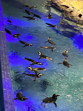 すみだ水族館に投稿された画像（2021/12/25）