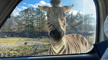 那須サファリパークに投稿された画像（2021/12/25）