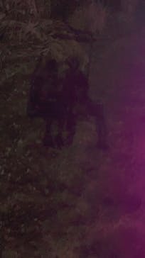 さがみ湖MORI MORIに投稿された画像（2021/12/25）