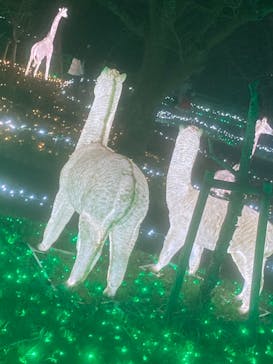 さがみ湖MORI MORIに投稿された画像（2021/12/25）