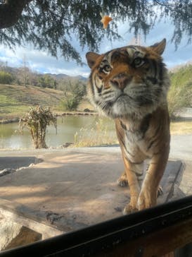 秋吉台自然動物公園 サファリランドに投稿された画像（2021/12/25）