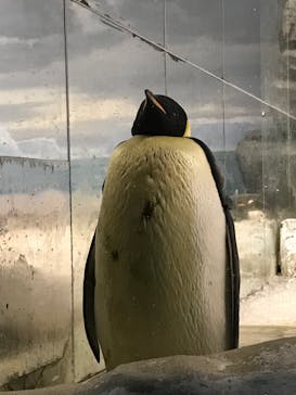 名古屋港水族館に投稿された画像（2021/12/25）