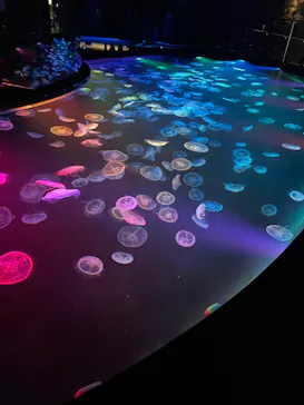 すみだ水族館に投稿された画像（2021/12/25）