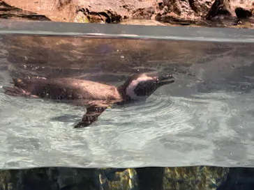 すみだ水族館に投稿された画像（2021/12/25）