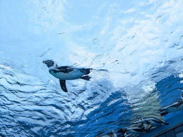 サンシャイン水族館に投稿された画像（2021/12/25）