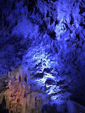 おきなわワールドに投稿された画像（2021/12/25）