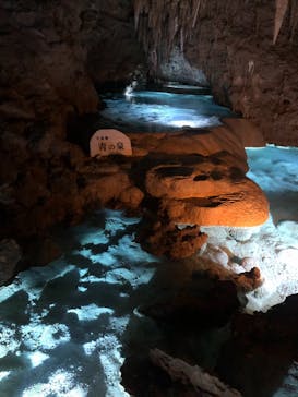 おきなわワールドに投稿された画像（2021/12/25）