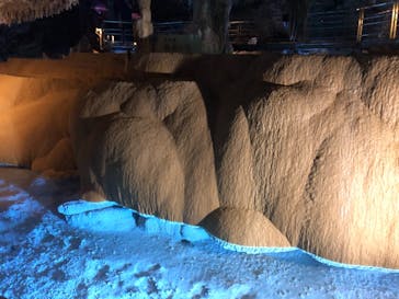 おきなわワールドに投稿された画像（2021/12/25）