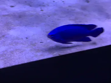 すみだ水族館に投稿された画像（2021/12/25）