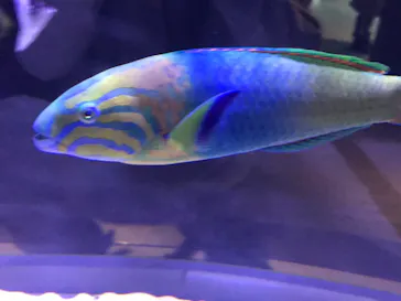 すみだ水族館に投稿された画像（2021/12/25）