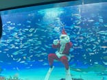 サンシャイン水族館に投稿された画像（2021/12/25）