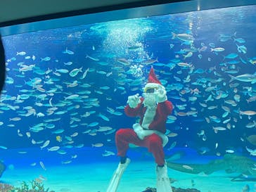 サンシャイン水族館に投稿された画像（2021/12/25）
