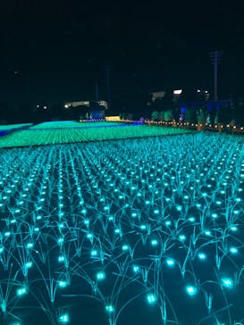 東京メガイルミに投稿された画像（2021/12/25）