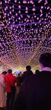 東京メガイルミに投稿された画像（2021/12/25）