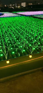 東京メガイルミに投稿された画像（2021/12/25）