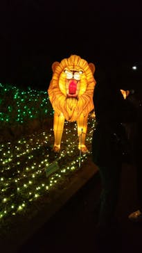 東武動物公園に投稿された画像（2021/12/25）