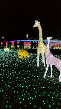 東武動物公園に投稿された画像（2021/12/25）