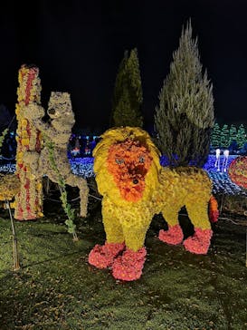 東武動物公園に投稿された画像（2021/12/25）