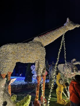 東武動物公園に投稿された画像（2021/12/25）
