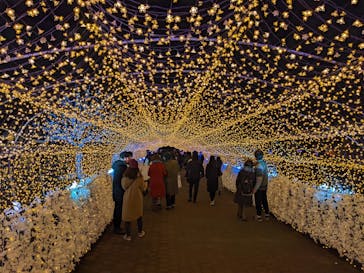 東京メガイルミに投稿された画像（2021/12/25）