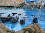 名古屋港水族館に投稿された画像（2021/12/25）