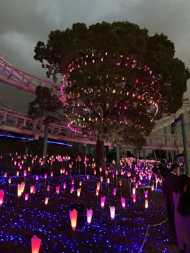 ひらかたパークに投稿された画像（2021/12/25）