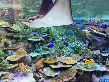 名古屋港水族館に投稿された画像（2021/12/25）