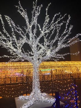 東京メガイルミに投稿された画像（2021/12/25）