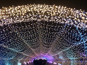 東京メガイルミに投稿された画像（2021/12/25）