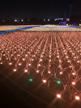 東京メガイルミに投稿された画像（2021/12/25）