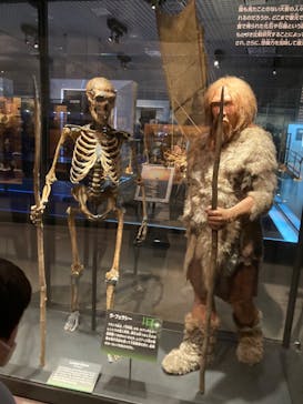 国立科学博物館に投稿された画像（2021/12/25）