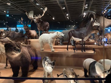 国立科学博物館に投稿された画像（2021/12/25）