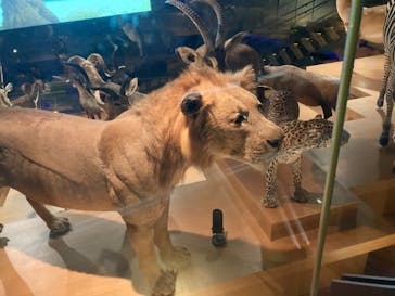 国立科学博物館に投稿された画像（2021/12/25）