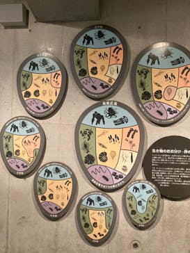 国立科学博物館に投稿された画像（2021/12/25）