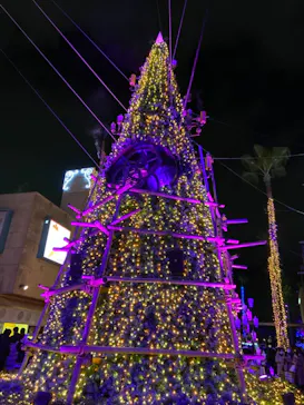 ひらかたパークに投稿された画像（2021/12/25）