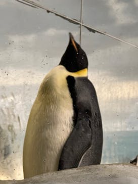 名古屋港水族館に投稿された画像（2021/12/25）