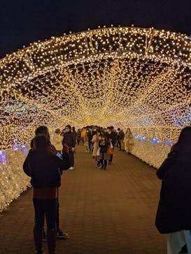 東京メガイルミに投稿された画像（2021/12/25）