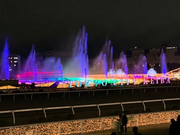 東京メガイルミに投稿された画像（2021/12/25）