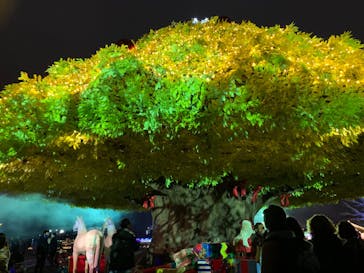 東京メガイルミに投稿された画像（2021/12/25）