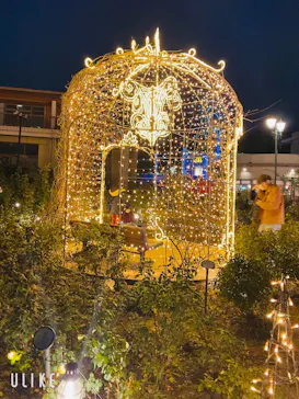 ひらかたパークに投稿された画像（2021/12/25）