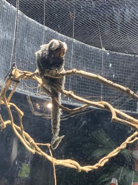 カワスイ 川崎⽔族館に投稿された画像（2021/12/25）