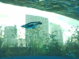 サンシャイン水族館に投稿された画像（2021/12/25）