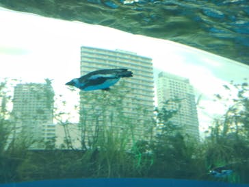 サンシャイン水族館に投稿された画像（2021/12/25）