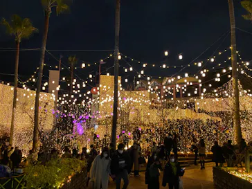 ひらかたパークに投稿された画像（2021/12/25）