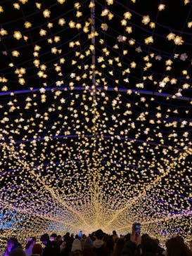 東京メガイルミに投稿された画像（2021/12/25）