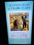 マクセル アクアパーク品川に投稿された画像（2021/12/25）